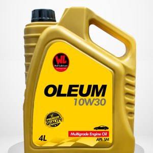 API SM SAE 10W-30